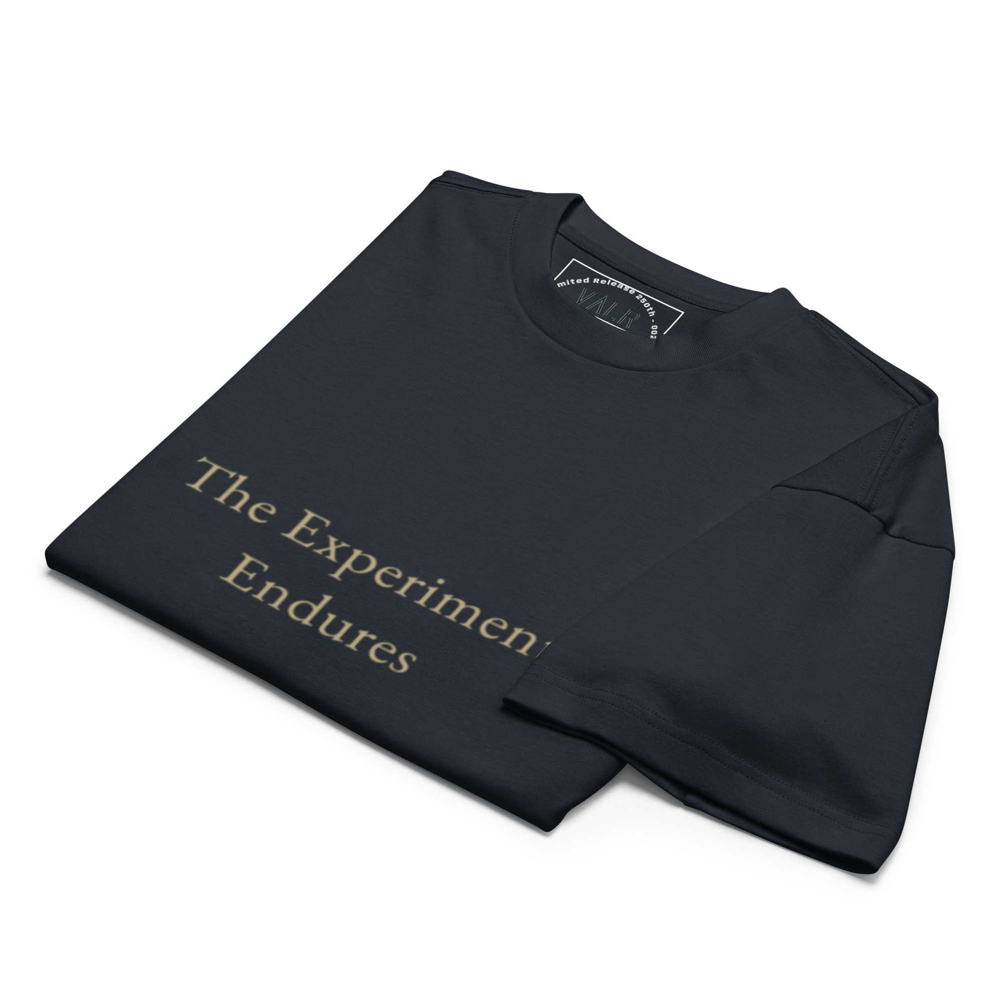 The Experiment Endures — folded view